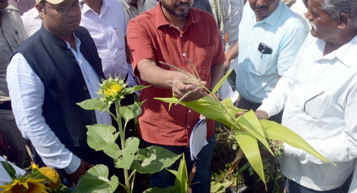 ಬೆಳಗಾವಿ ಜಿಲ್ಲೆಯಲ್ಲಿ 2.78 ಲಕ್ಷ ಹೆಕ್ಟೇರ್ ಬೆಳೆಹಾನಿ: ಜಿಲ್ಲಾಧಿಕಾರಿ ನಿತೇಶ 