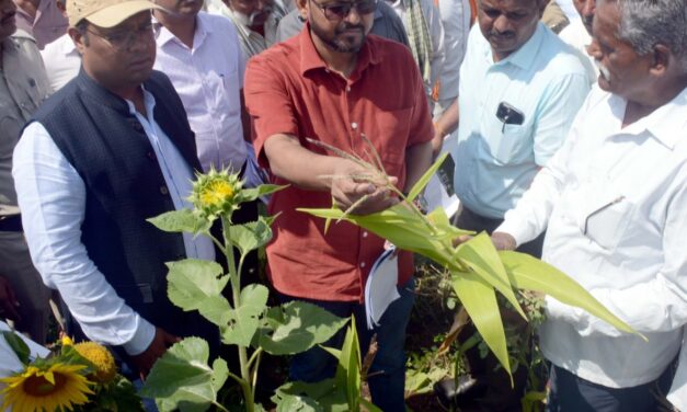 ಬೆಳಗಾವಿ ಜಿಲ್ಲೆಯಲ್ಲಿ 2.78 ಲಕ್ಷ ಹೆಕ್ಟೇರ್ ಬೆಳೆಹಾನಿ: ಜಿಲ್ಲಾಧಿಕಾರಿ ನಿತೇಶ 