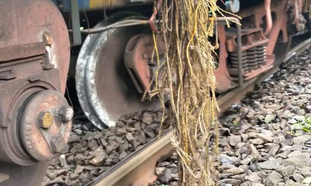 ದೂದಸಾಗರ ಬಳಿ ಹಳಿ ತಪ್ಪಿದ  ರೈಲು