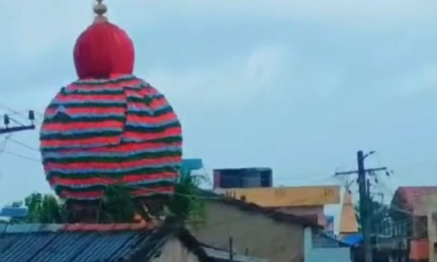 ರಥದ ಕಳಸ ಬಿದ್ದು ಬಾಲಕ ಸಾವು