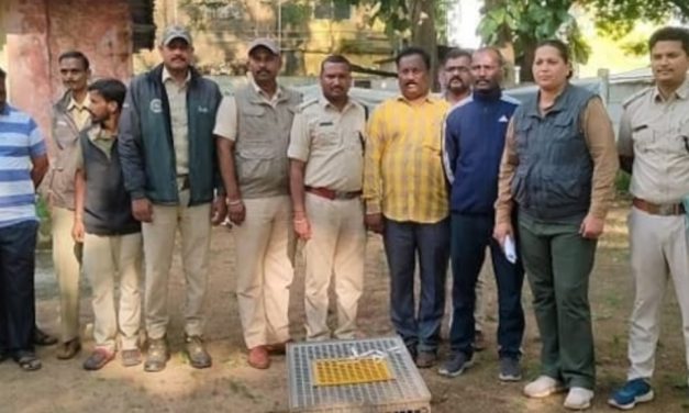 ಚಿಪ್ಪು ಹಂದಿ ಚೀನಾಗೆ ಸಾಗಿಸುತ್ತಿದ್ದವರ ಬಂಧನ