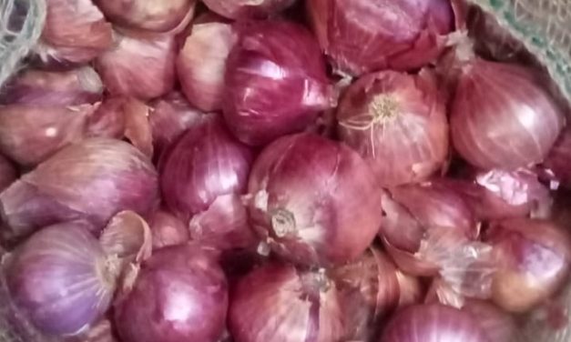 ಈರುಳ್ಳಿಗೆ ಬಂಪರ ಬೆಲೆ:ಸಂತಸಗೊಂಡ ರೈತರು