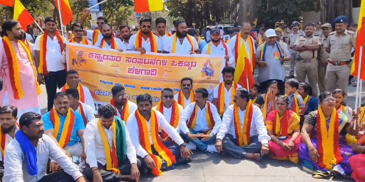 ಎಂ ಇ ಎಸ್ ನಿಷೇಧಿಸುಂತೆ ಆಗ್ರಹಿಸಿ ಕನ್ನಡಪರ ಸಂಘಟನೆಗಳಿಂದ ಪ್ರತಿಭಟನೆ