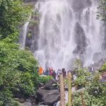ಪಶ್ಚಿಮಘಟ್ಟದಲ್ಲಿ ಮಳೆ: ಜಲಪಾತಗಳಿಗೆ ಜೀವ ಕಳೆ