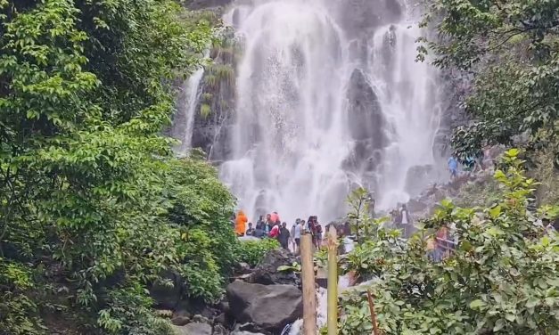 ಪಶ್ಚಿಮಘಟ್ಟದಲ್ಲಿ ಮಳೆ: ಜಲಪಾತಗಳಿಗೆ ಜೀವ ಕಳೆ