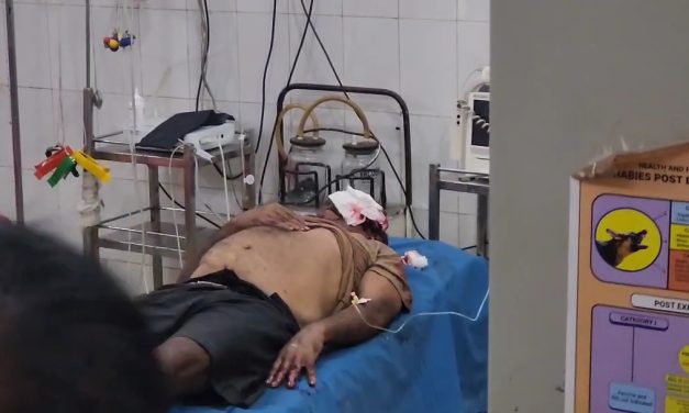 ಕರಡಿ ದಾಳಿ : ರೈತನಿಗೆ ಗಂಭೀರ ಗಾಯ